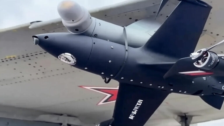 MiG-29 Transformed into Drone-Hunting Fighter